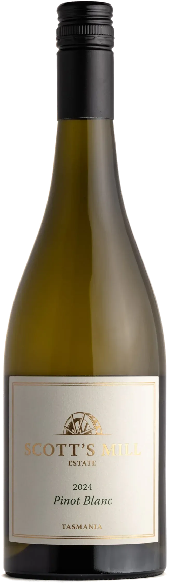 2024 Pinot Blanc